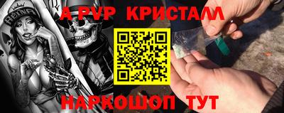 крисы Славгород
