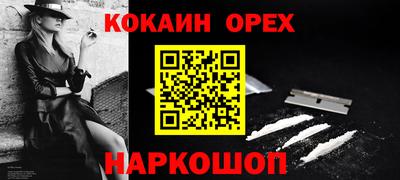 крисы Славгород