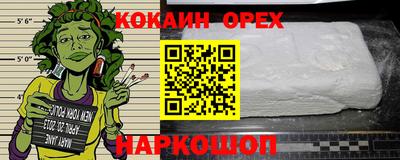 крисы Славгород
