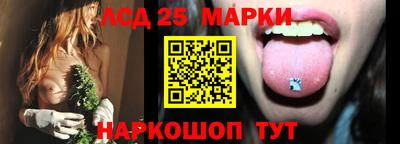 крисы Славгород