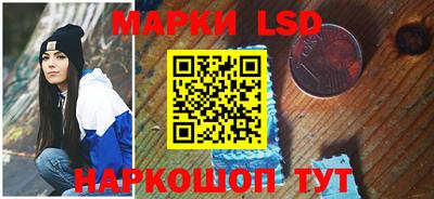 крисы Славгород