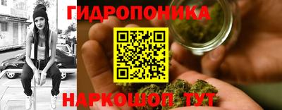 сатива Сланцы