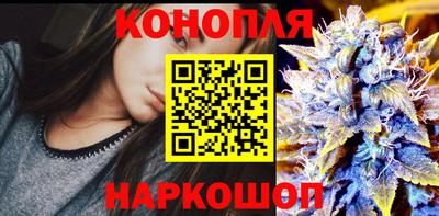 крисы Славгород