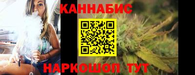 крисы Славгород