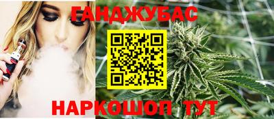 крисы Славгород