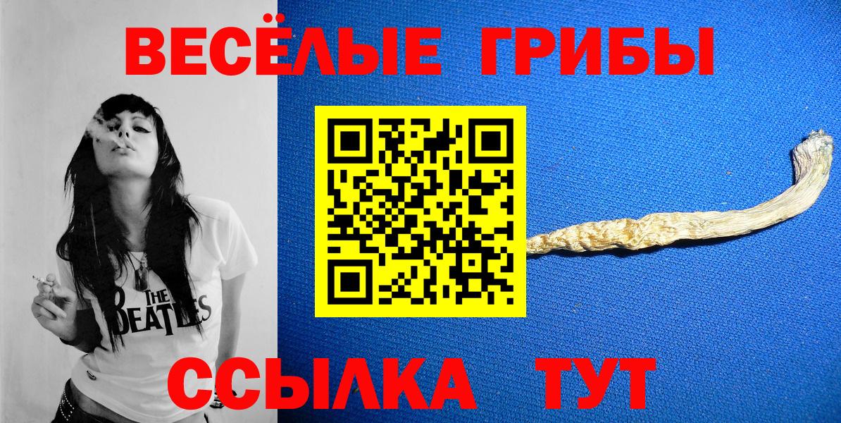 купить   Галлюциногенные грибы Magic Shrooms  Вход с VPN  Мурино  Галлюциногенные грибы Magic Shrooms 